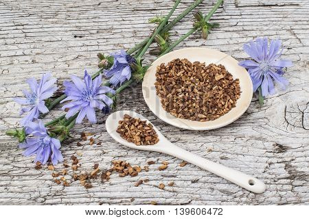Medicinal plant chicory: flowers and ground roots on a plate and spoon on the old wooden background. The roots of the plants are used as a substitute for coffee