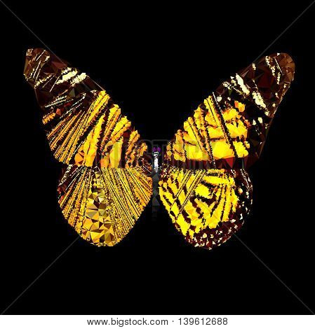 Low poly geometric of butterfly with open wings in a top view