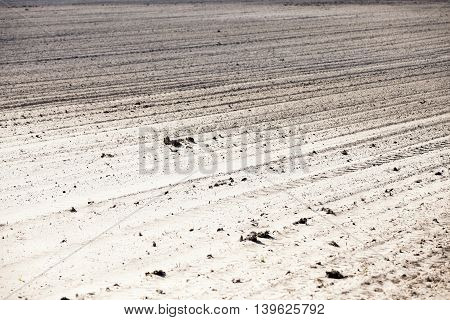 Agricultural Field, Which Was Plowed For Sowing Crops. Spring