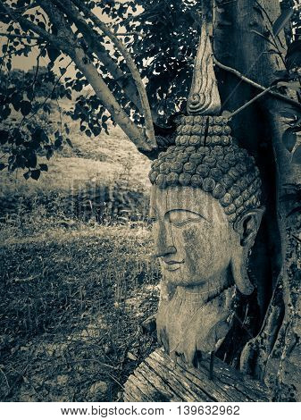 Ancient wooden Buddha statue head cracked and burned on bodhi tree background in hermitage at northern of thailand Split Tone Filter