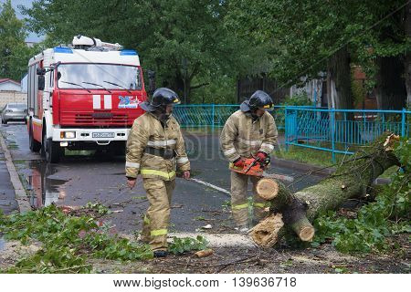 SAINT PETERSBURG, RUSSIA - JUNE 16, 2016: Emergency workers are clearing the streets from the collapsed the old tree after a storm