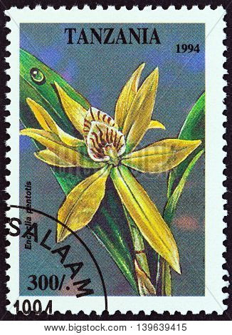 TANZANIA - CIRCA 1994: A stamp printed in Tanzania from the 