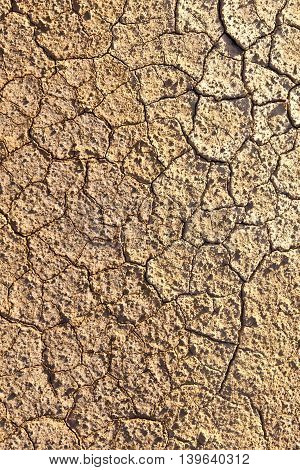 Loam In A Saline Basin