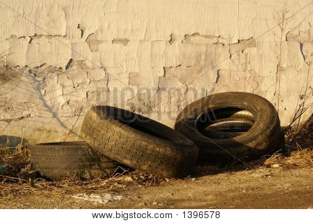 Alten Gummi-Stämmen