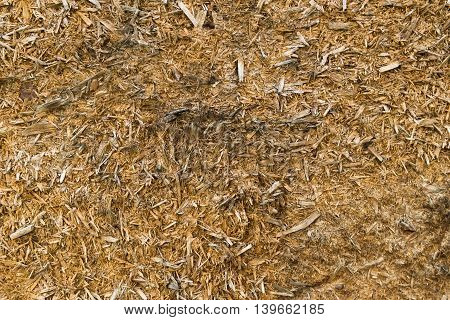 Chipboard, wood texture, scabrous, abstract wood background, wood plank texture, chipboard background, abstraction