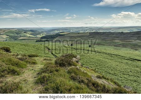 The Peaks