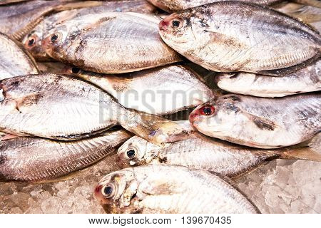Whole Fresh Fishes Are Offered In The Fish Market In Asia