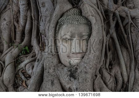 The small-headed temple,Buddha head in tree Wat Mahathat,thailand,Ayutthaya,Ayutthaya,