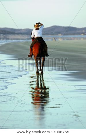 Horse And Rider op strand