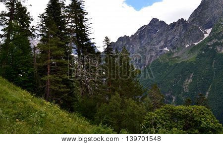 Between the mountain slopes. Mountain peaks and trees on the background of white clouds. Dombay the Republic of Karachay-Cherkessia in the North Caucasus Russia. Photo taken on: July 26 Friday 2013