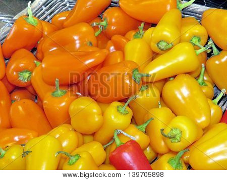 The pepper on market of Whittamore's Farm in Markham Ontario 23 July 2016 Canada