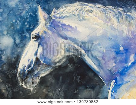 Painting of lipizzaner horse portrait. Picture created with watercolors