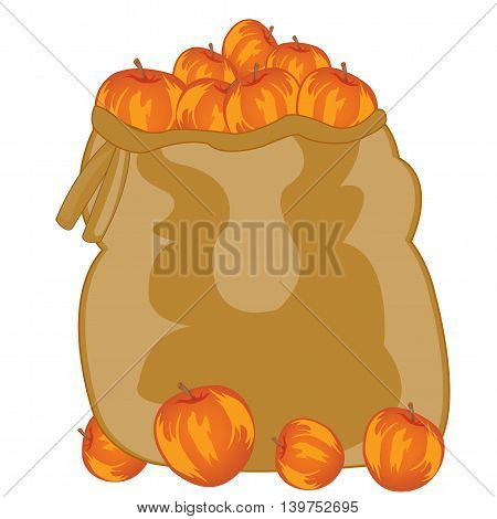 Vector illustration of the bag pervaded ripe apple