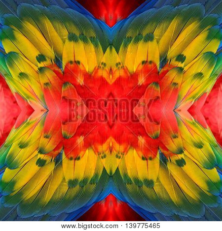 Colorful Background Made Of Of Scarlet Macaw Bird's Wing, Exotic Texture