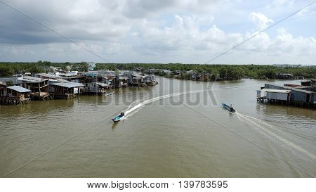 Residential Among Ca Mau Mangrove Forest