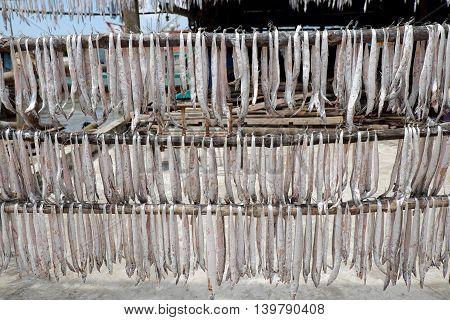 Dried Fish Ca Mau Fishing Village