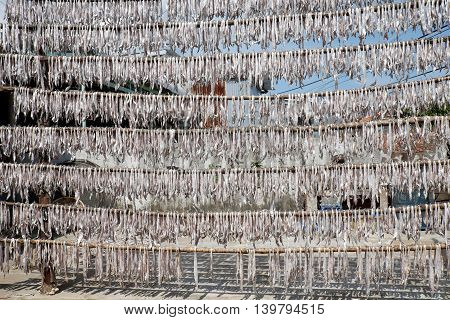 Dried Fish Ca Mau Fishing Village
