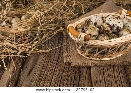 Raw quail eggs.Raw quail eggs.Raw quail eggs