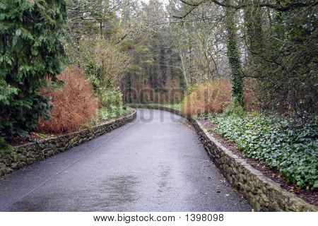 Irische Landstraße