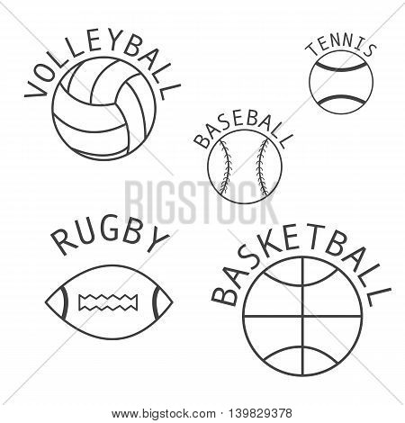 Set of isolated balls for volleyball rugby basketball baseball tennis. Vector illustration.