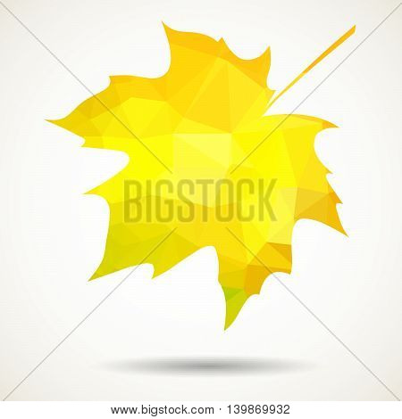 Triangular Maple Leaf