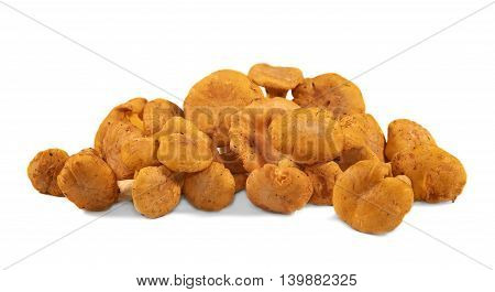 Heap of chanterelle mushrooms on white background