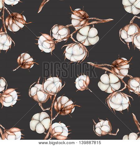 Seamless pattern of watercolor cotton flowers branches, hand drawn isolated on a dark background