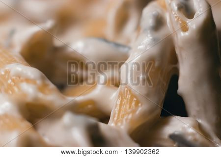 Blue Cheese Pasta Penne close up. Blue cheese sauce.
Selective focus and shallow Depth of field