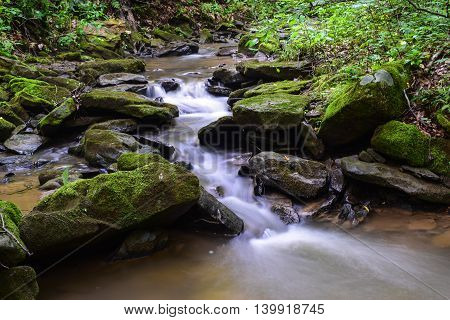 Wild Brook Trout Stream in western Pennsylvania.