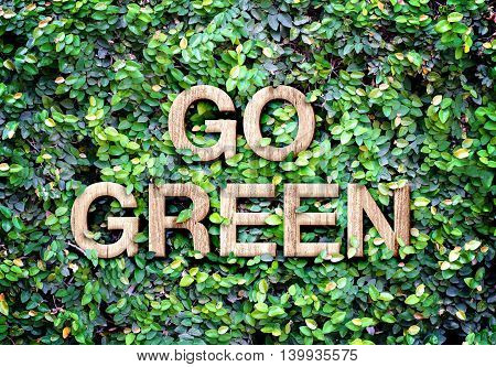 Go Green Made Of Wood Word On Leaves Wall,eco Concept