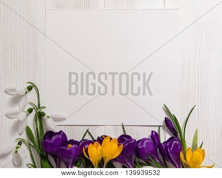 coner from crocus and snowdrops on wooden background with empty card for your text