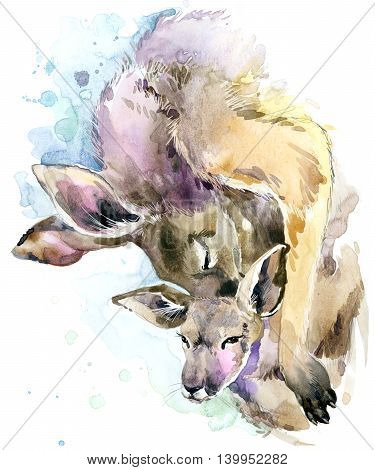 Kangaroo watercolor. Kangaroo and baby cub. Kangaroo family watercolor illustration. Motherhood watercolor background