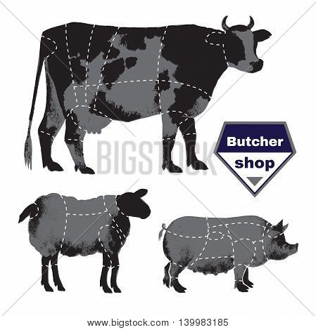 Set of farm animals for butcher shop with anatomic cut