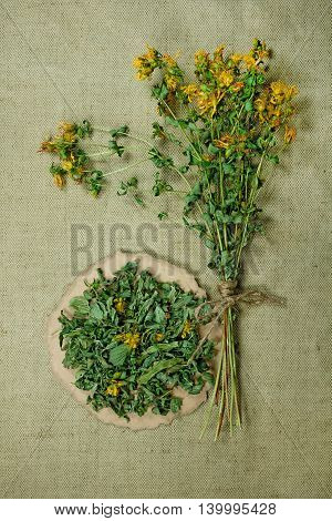 Tutsan.Dried herbs for use in alternative medicine.Herbal medicine phytotherapy medicinal herbs.For preparation of infusions decoctions tinctures powders ointments tea.Background green cloth