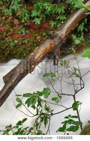 ウェット トランク