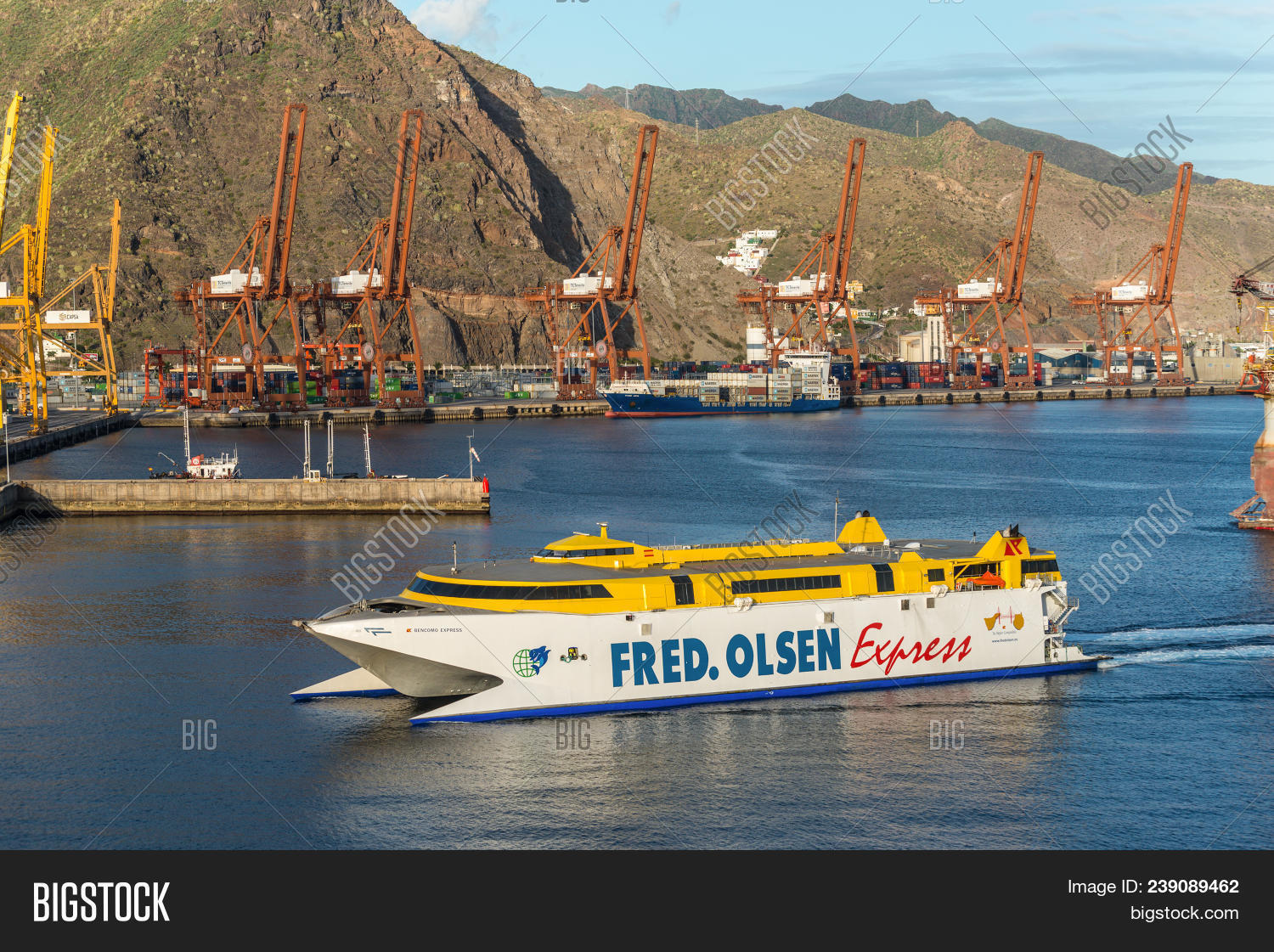 Santa Cruz De Tenerife Image Photo Free Trial Bigstock