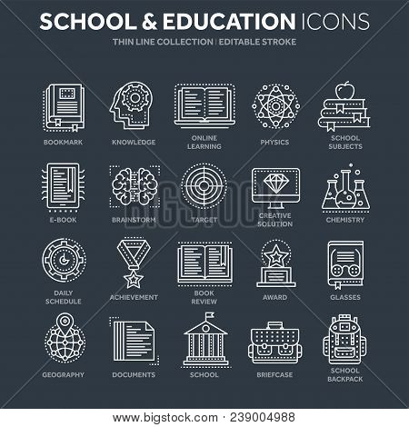 School Education, University. Study, Learning Process. Oline Lessons, Tutorial. Student Knowledge. H