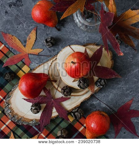 Bright Red Williams Pears On Wooden Saw And Autumn Maole Leaves On Colorful Plaid Textile On Gray Ba