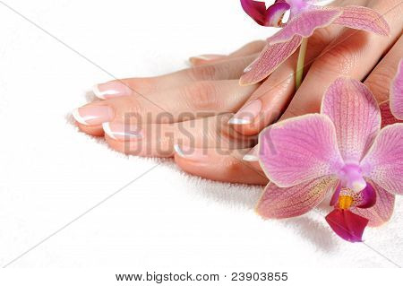 Piękne strony z francuskiego Manicure paznokci Perfect i fioletowe kwiaty orchidei. Na tle białym tle