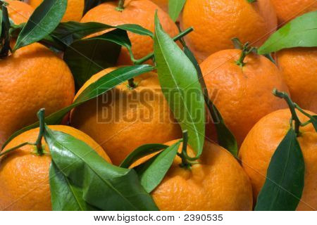Мандарины с листьями