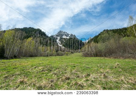 Panoramic View Of Alps, The Highest And Most Extensive Mountain Range System That Lies Entirely In E