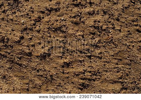 Wet Sand With Small Trancparent Rocks Texture For The Background Image. Uneven Wet Sand Surface Back