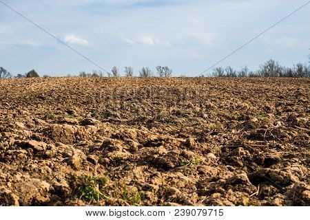 Spring Plowed Land For Planting Crops. Field