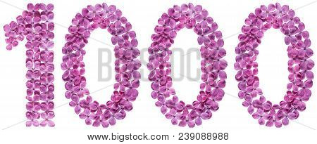 Arabic Numeral 1000, One Thousand, From Flowers Of Lilac, Isolated On White Background