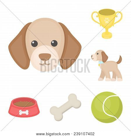 Pet Dog Cartoon Icons In Set Collection For Design. Caring For The Puppy Vector Symbol Stock  Illust