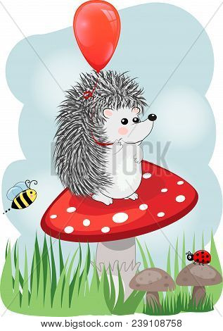 Lovely Cartoon Hedgehog Sits On A Fly Agaric Mushroom, Baby Card