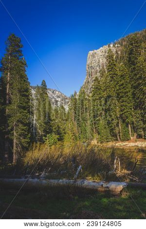 Fallen Tree Near The Marble Fork Kaweah River With A Mountain In The Background Along The Tokopah Va