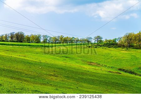 Sky And Grass Background, Fresh Green Fields Under The Blue Sky In Spring