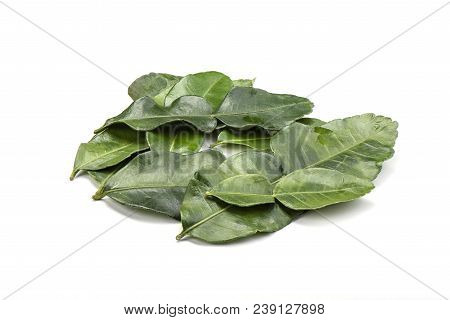 Several Lime Leaves On A White Background