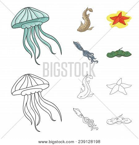 Jellyfish, Squid And Other Species.sea Animals Set Collection Icons In Cartoon, Outline Style Vector